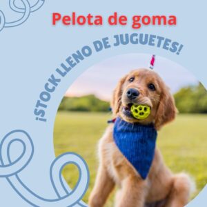 pelota de goma