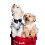 pexels photo 3361746 3361746 scaled removebg preview